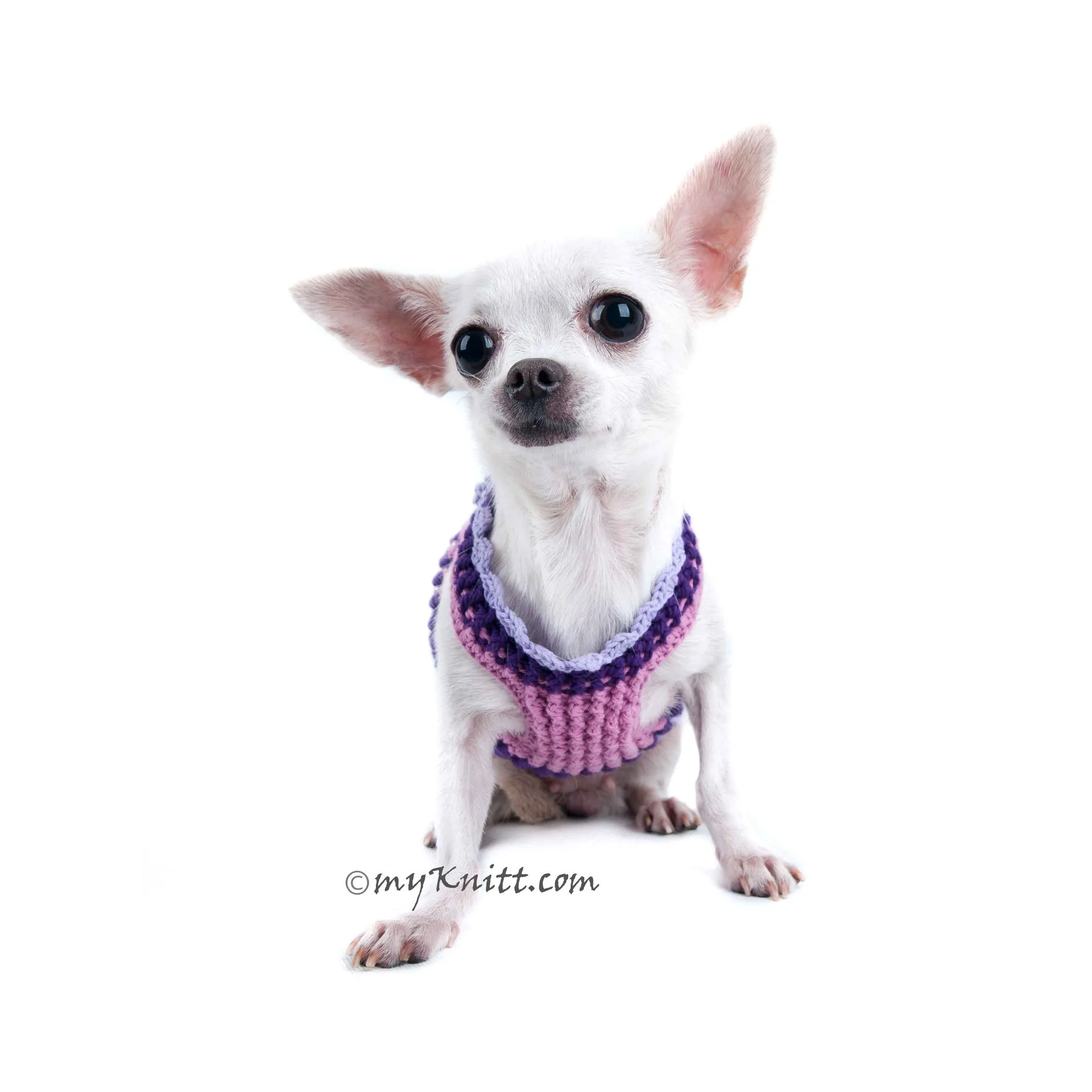 Butterfly Dog Harness Purple Summer Dog Clothes DK907