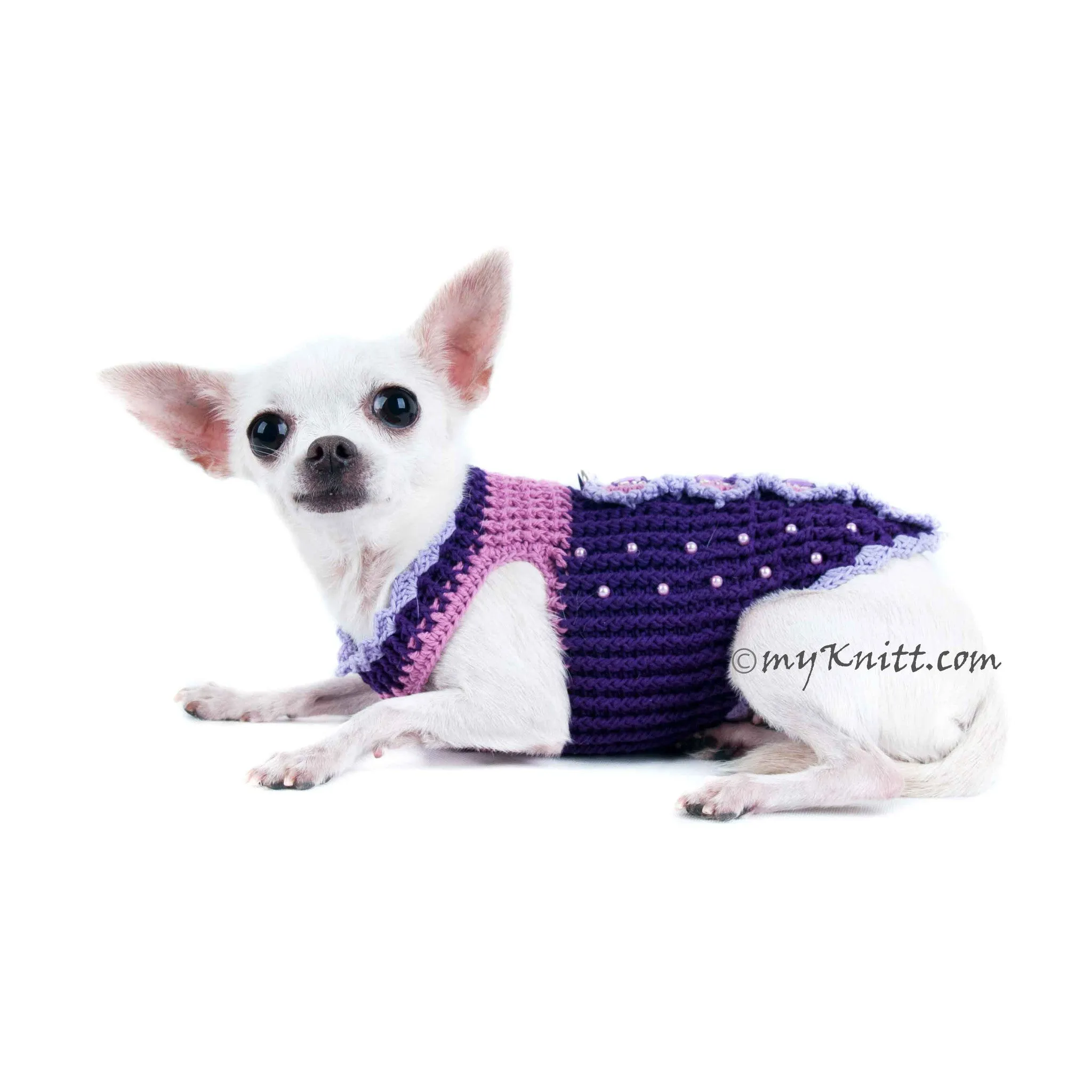 Butterfly Dog Harness Purple Summer Dog Clothes DK907