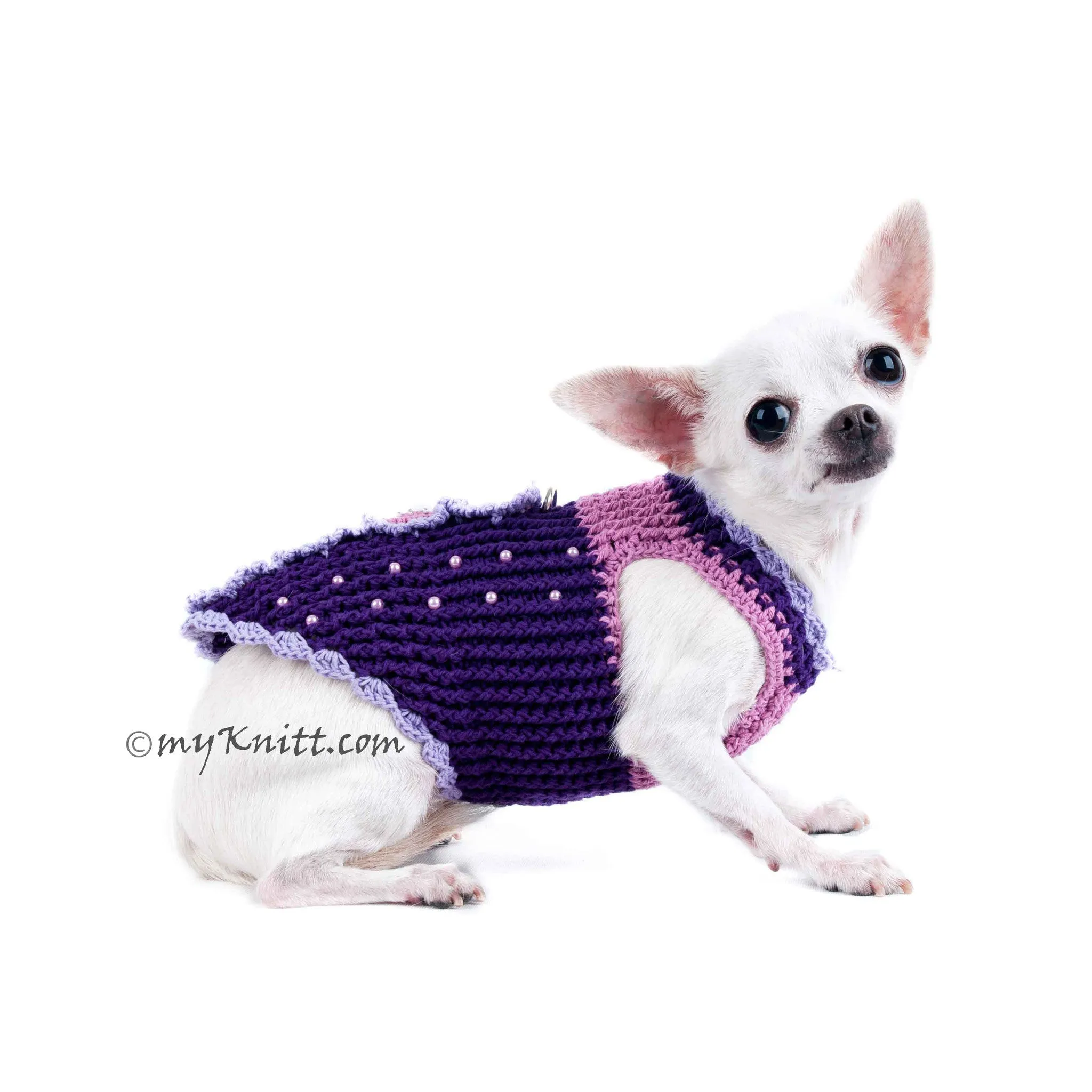 Butterfly Dog Harness Purple Summer Dog Clothes DK907