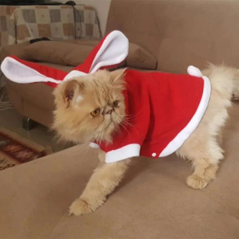Cat's Christmas Santa Claus Clothing