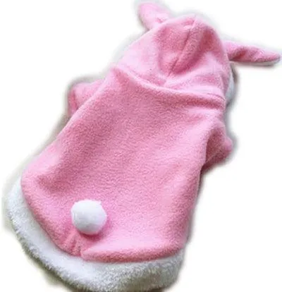 Cat's Christmas Santa Claus Clothing