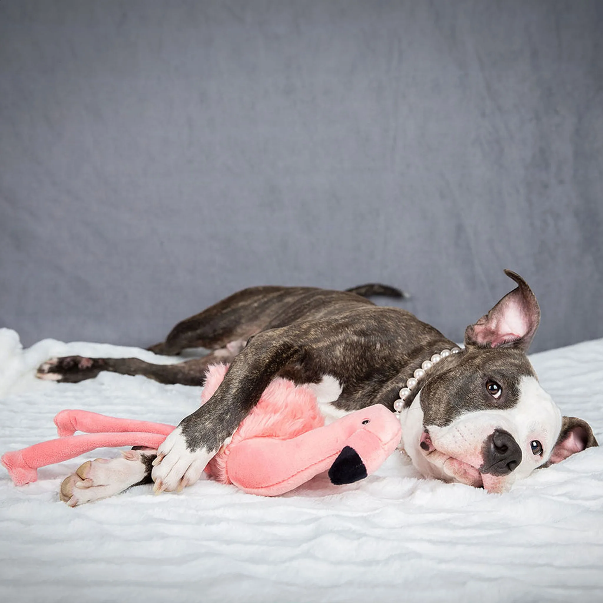 Fluff & Tuff Lola Flamingo Plush Dog Toy - 18in