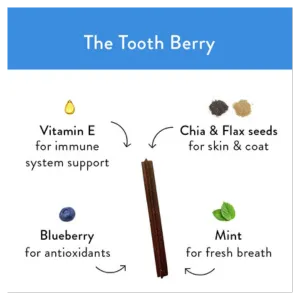 Shameless Pets The Tooth Berry Dental Sticks for Dogs, 7.2oz